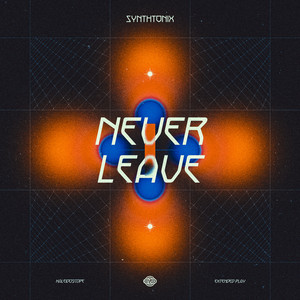 Never Leave (Extended Mix)