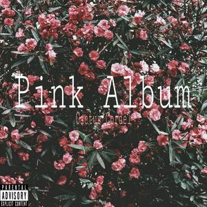 Pink Album (Explicit)