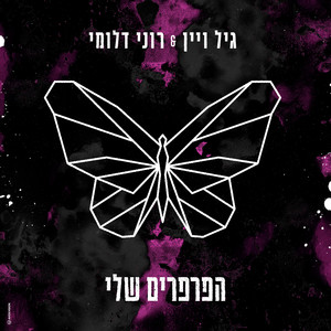 הפרפרים שלי