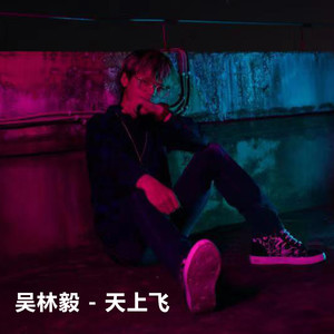 天上飞