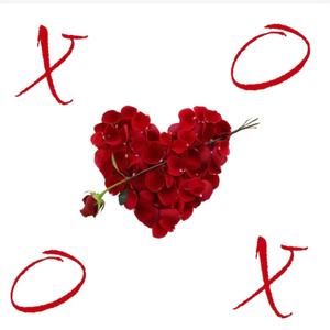 XOXO (feat. Steevo & RARA) [Explicit]