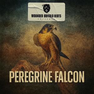 Peregrine Falcon (feat. Ruste Juxx) (Explicit)