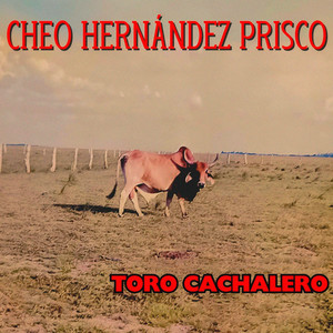 Toro Cachalero