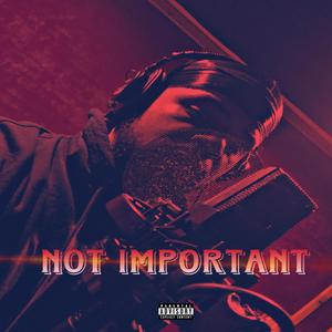 Not Important (Explicit)