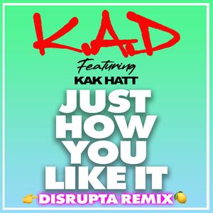 Just How You Like It (Disrupta Remix) [Explicit]