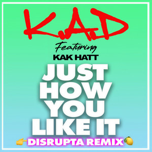 Just How You Like It (Disrupta Remix|Explicit)