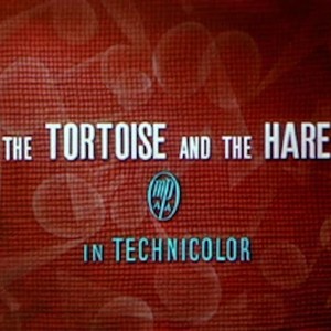 Tortoise And The Hare (Explicit)