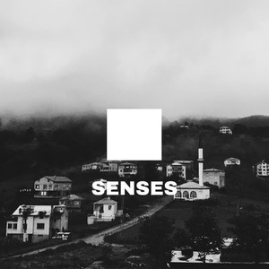Senses (Remix)
