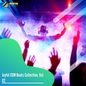 Joyful EDM Beats Collection, Vol. 02