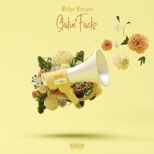 Statin Facts (Explicit)