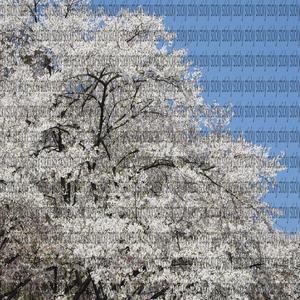 STICKY (feat. BNP) (Explicit)