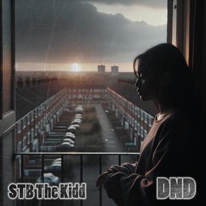 DND (feat. STB The Kidd)