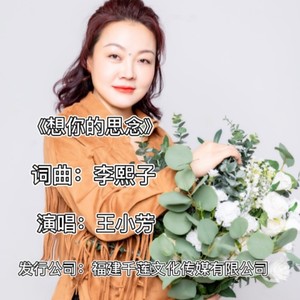 想你的思念 (新版)
