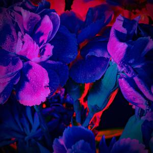 Got It Good(feat. Ty Lewis) (Explicit)