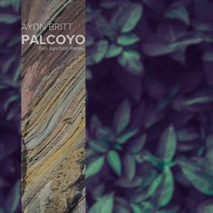 Palcoyo