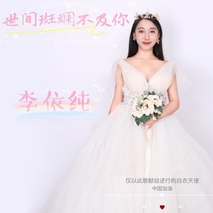 世间斑斓不及你