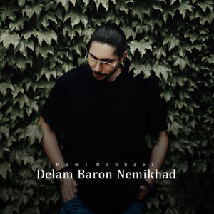 Delam Baron Nemikhad