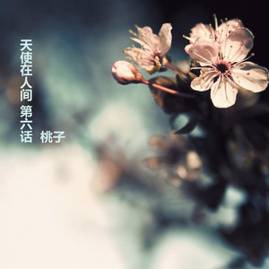 来不及流泪的人 (美文版)封面