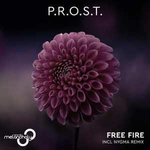 Free Fire (Nygma Remix)