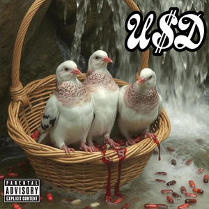 Pidgeons (feat. Buc$) (Explicit)