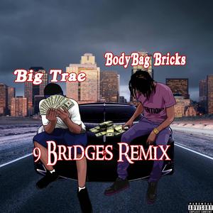 9 Bridges (feat. Big Trae ) [Remix] [Explicit]