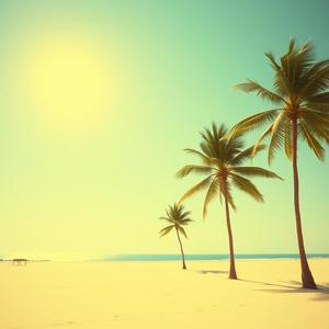 Summer Vibes