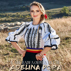 N-Are Badea Oi Prea Multe