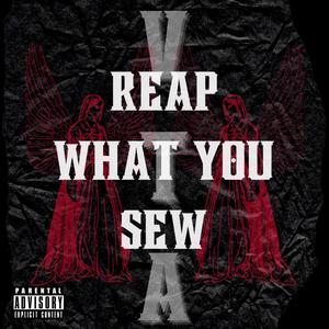 REAP WHAT YOU SEW (Explicit)