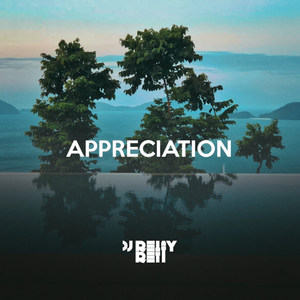 Appreciation (Explicit)