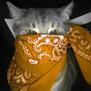 Especial De Pandemia(feat. Nato el Neto) (Explicit)