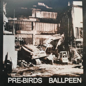 Pre-Birds / Ballpeen Split (Explicit)