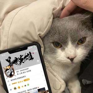 一个人想着一个人 (改编版原唱: 曾沛慈)