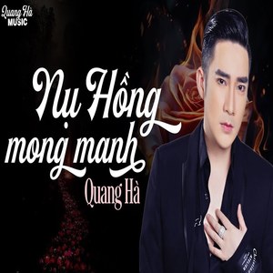 Nụ Hồng Mong Manh