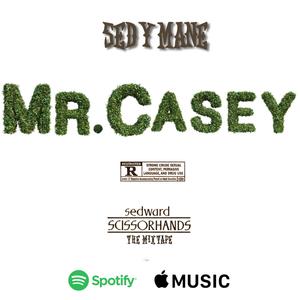 Mr. Casey (Explicit)