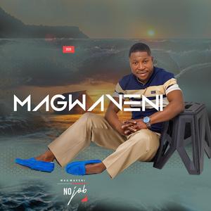 No Job (feat. Bobomfanawepiki)