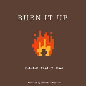 Burn It Up (Explicit)