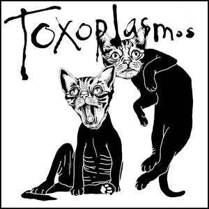 TOXOPLASMOS