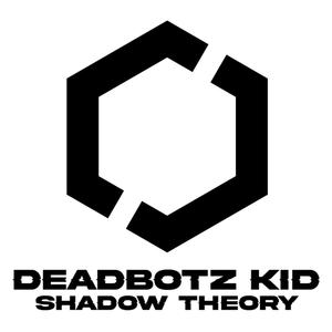 Shadow Theory (Explicit)