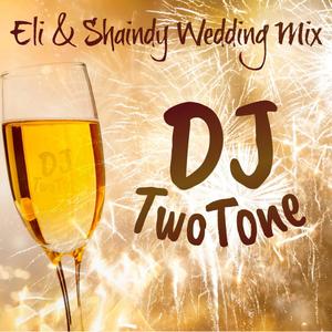 Wedding Mix (Eli & Shaindy)