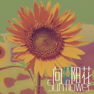 向阳花 (Demo)