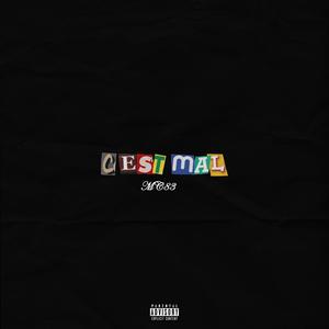 C'est mal (Explicit)