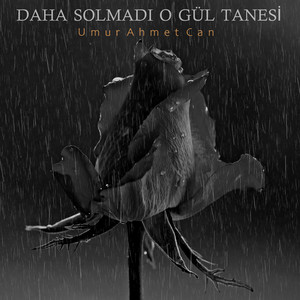 Daha solmadı o gül tanesi