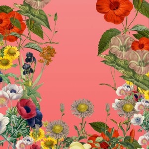 Ayye Mane (Explicit)