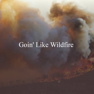 Goin' Like Wildfire