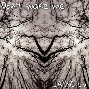 Don't Wake Me (Explicit)