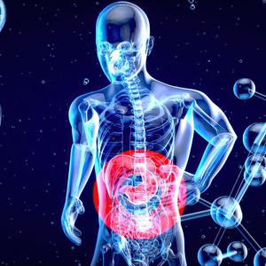 Digestive Healing for a Healthy Gut: Frequency Treatment for Stomach Relief and System Cleanse