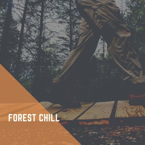 Forest Chill