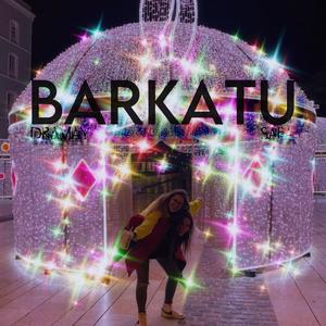 barkatu (missin u)
