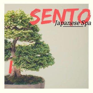 Sento (Japanese Spa) : Relaxing Zen Music, Nature Sounds, Japanese Meditation Music for Tokyo's Bath Houses