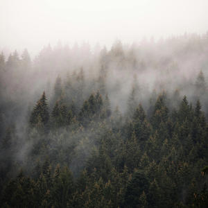 Okay (feat. EL Gwopo) (Explicit)